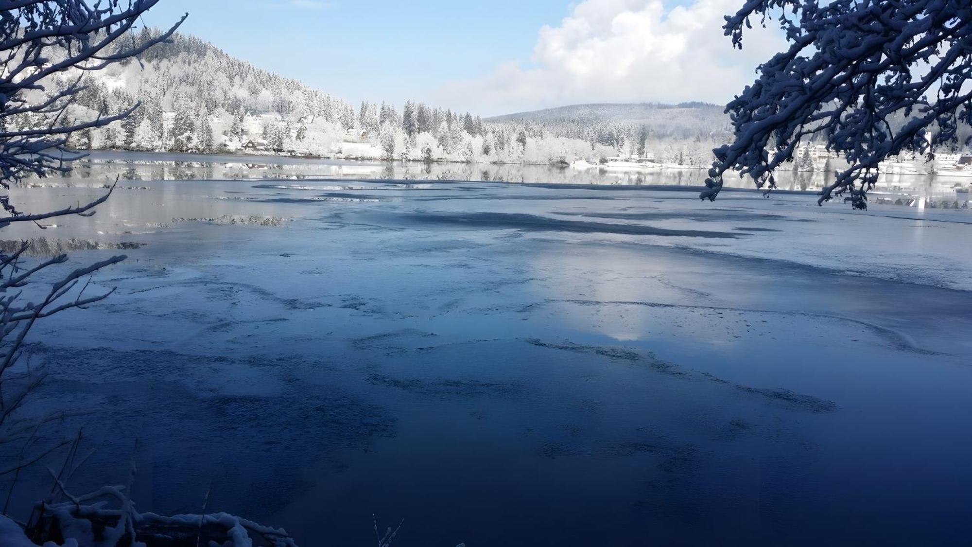 Ferienhaus Am Roesslewald Breitnau Esterno foto